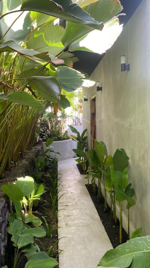 La Jempana Kintamani B&B 외부 사진